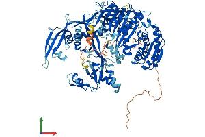 AlphaFold protein structure predicition of Human Recombinant PIWIL4 Protein, UniprotID Q7Z3Z4 (PIWIL4 Protein (AA 1-852) (His tag))