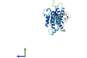 Protein Structure (PS) image for General Transcription Factor IIH, Polypeptide 3, 34kD (GTF2H3) (AA 1-308) protein (His tag) (ABIN7544372)