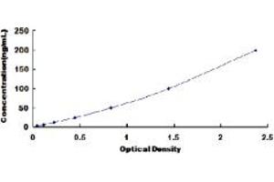 Typical standard curve (CCL5 ELISA Kit)