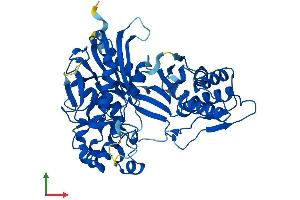 AlphaFold protein structure predicition of Human Recombinant SHPK Protein, UniprotID Q9UHJ6 (SHPK Protein (AA 1-478) (His tag))