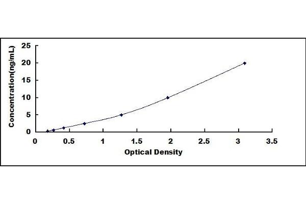 Leptin ELISA Kit