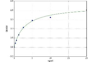 Ribonuclease T2 (RNASET2) ELISA Kit