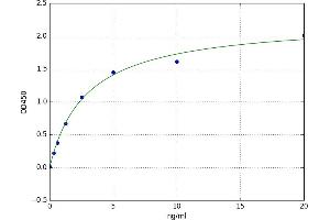 A typical standard curve (RNASET2 ELISA Kit)
