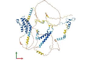 AlphaFold protein structure predicition of Mouse Recombinant Brd7 Protein, UniprotID O88665 (BRD7 Protein (AA 1-651) (His tag))