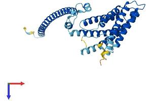 AlphaFold protein structure predicition of Human Recombinant TMEM120A Protein, UniprotID Q9BXJ8 (TMEM120A Protein (AA 1-343) (His tag))