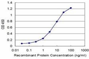 Detection limit for recombinant GST tagged NEK2 is approximately 0. (NEK2 antibody  (AA 331-445))