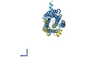 AlphaFold protein structure predicition of Mouse Recombinant Gpr82 Protein, UniprotID Q8BZR0