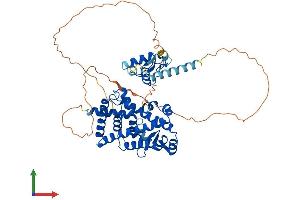 AlphaFold protein structure predicition of Human Recombinant RORA Protein, UniprotID P35398 (RORA Protein (AA 1-523) (His tag))