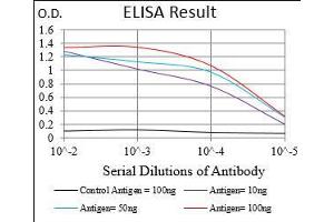 Black line: Control Antigen (100 ng), Purple line: Antigen(10 ng), Blue line: Antigen (50 ng), Red line: Antigen (100 ng), (Raptor antibody  (AA 874-1009))