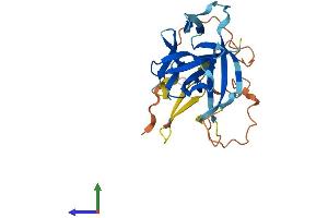 AlphaFold protein structure predicition of Human Recombinant IL33 Protein, UniprotID O95760 (IL-33 Protein (AA 1-270) (His tag))