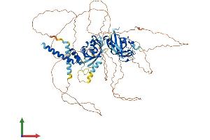 AlphaFold protein structure predicition of Human Recombinant SIM1 Protein, UniprotID P81133 (SIM1 Protein (AA 1-766) (His tag))