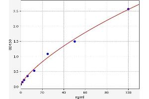 Insulin-Like Growth Factor Binding Protein, Acid Labile Subunit (IGFALS) ELISA Kit