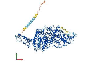 Protein Structure (PS) image for Ectonucleotide pyrophosphatase/phosphodiesterase 3 (ENPP3) (AA 1-874) protein (His tag) (ABIN7557912)