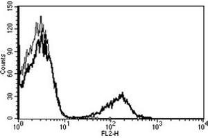 Flow Cytometry (FACS) image for anti-CD19 Molecule (CD19) antibody (PE) (ABIN1105985) (CD19 antibody  (PE))