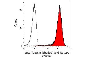 Flow Cytometry (FACS) image for anti-Tubulin, beta (TUBB) (AA 1-50) antibody (ABIN7453995) (Recombinant TUBB antibody  (AA 1-50))
