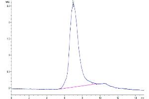 The purity of Mouse PSGL-1 is greater than 95 % as determined by SEC-HPLC.