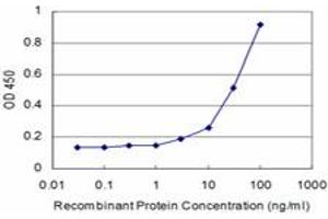 Detection limit for recombinant GST tagged CTSK is approximately 3ng/ml as a capture antibody. (Cathepsin K antibody  (AA 220-329))