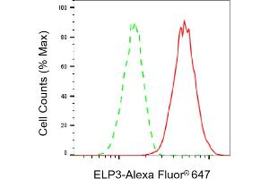 Flow cytometric analysis of ELP3 expression in C2C12 cells using ELP3 antibody (ABIN7798434), 1:2,000). (Recombinant ELP3/KAT9 antibody)