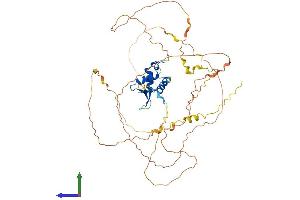 Protein Structure (PS) image for Forkhead Box O4 (FOXO4) (AA 1-505) protein (His tag) (ABIN7553959)