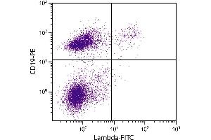 C57BL/6 mouse splenocytes were stained with Rat Anti-Mouse Lambda-FITC. (Rat anti-Mouse lambda Antibody (FITC))