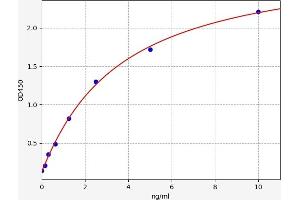 Typical standard curve (MAP2K7 ELISA Kit)