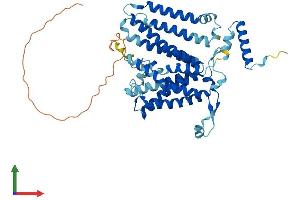 AlphaFold protein structure predicition of Mouse Recombinant Cds1 Protein, UniprotID P98191 (CDS1 Protein (AA 1-461) (His tag))