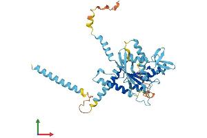 Protein Structure (PS) image for Septin 5 (SEPT5) (AA 1-369) protein (His tag) (ABIN7556441)