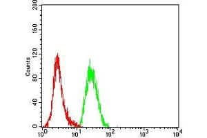 Flow cytometric analysis of Hela cells using MSLN mouse mAb (green) and negative control (red). (Mesothelin antibody  (AA 37-286))