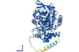 Protein Structure (PS) image for Flavin Containing Monooxygenase 5 (FMO5) (AA 1-533) protein (His tag) (ABIN7556837)