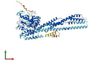 AlphaFold protein structure predicition of Human Recombinant GBP4 Protein, UniprotID Q96PP9