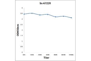 0. (MORG1 antibody  (AA 201-315))