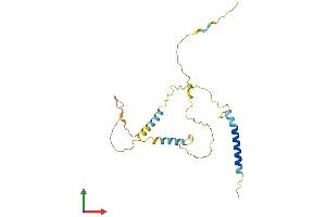 AlphaFold protein structure predicition of Human Recombinant BNIP3L Protein, UniprotID O60238