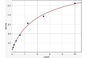 DCLK1 ELISA Kit