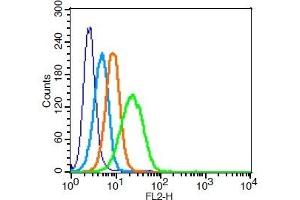 U937 cells probed with 	ADAM17 Polyclonal Antibody, Unconjugated  at 1:100 for 30 minutes followed by incubation with a PE conjugated secondary (green) for 30 minutes compared to control cells (blue), secondary only (light blue) and isotype control (orange). (ADAM17 antibody  (AA 201-300))