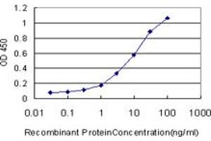 Detection limit for recombinant GST tagged BAAT is approximately 0. (BAAT antibody  (AA 258-355))