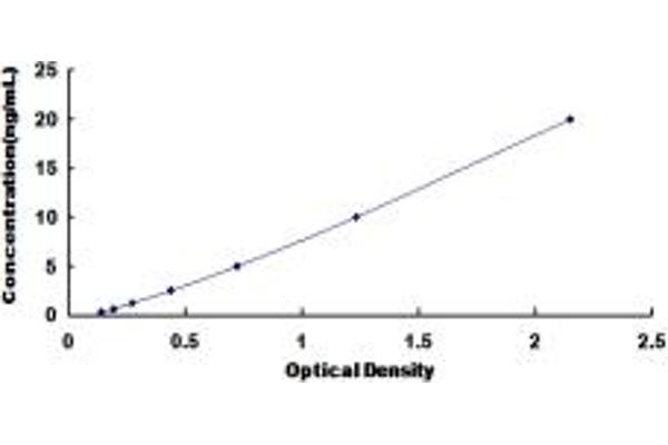TPM3 ELISA Kit