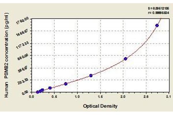 PSMB2 ELISA Kit
