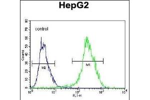 NR0B2 Antibody (Center) (ABIN655027 and ABIN2844658) flow cytometric analysis of HepG2 cells (right histogram) compared to a negative control cell (left histogram). (NR0B2 antibody  (AA 56-83))