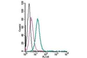 Cell surface detection of GPR68 in live intact human HL-60 acute promyelocytic leukemia cells: (black line) Cells. (GPR68 antibody  (Extracellular) (FITC))