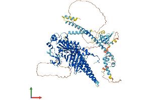 AlphaFold protein structure predicition of Mouse Recombinant Morc2b Protein, UniprotID Q8C5W4 (Microrchidia 2B Protein (MORC2B) (AA 1-1022) (His tag))