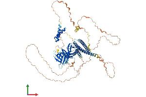 AlphaFold protein structure predicition of Mouse Recombinant Afap1 Protein, UniprotID Q80YS6 (AFAP Protein (AA 1-731) (His tag))