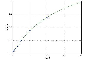 Prolyl 4-Hydroxylase, alpha Polypeptide I (P4HA1) ELISA Kit