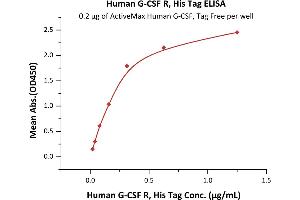 Immobilized Human G-CSF, Tag Free (ABIN2181135,ABIN2693589) at 2 μg/mL (100 μL/well) can bind Human G-CSF R, His Tag (ABIN2181145,ABIN2181144) with a linear range of 0. (CSF3R Protein (AA 25-621) (His tag))