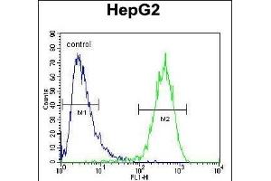 ABCC10 Antibody (Center) (ABIN654102 and ABIN2843986) flow cytometric analysis of HepG2 cells (right histogram) compared to a negative control cell (left histogram). (ABCC10 antibody  (AA 767-793))