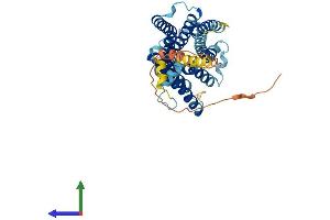 AlphaFold protein structure predicition of Human Recombinant TACR1 Protein, UniprotID P25103 (TACR1 Protein (AA 1-407) (His tag))