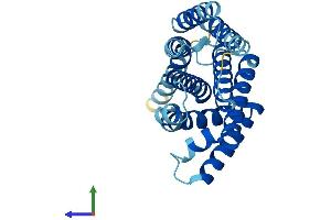 Protein Structure (PS) image for Transmembrane Protein 101 (TMEM101) (AA 1-257) protein (His tag) (ABIN7559998)