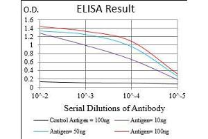 ELISA image for anti-SHC (Src Homology 2 Domain Containing) Transforming Protein 1 (SHC1) (AA 385-495) antibody (ABIN5542463)