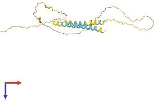 Interferon Induced Transmembrane Protein 10 (IFITM10) (AA 1-201) protein (His tag)