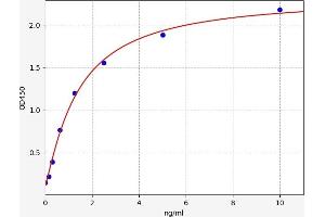 ROBO4 ELISA Kit