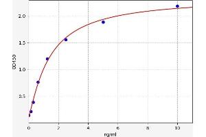 Typical standard curve (ROBO4 ELISA Kit)